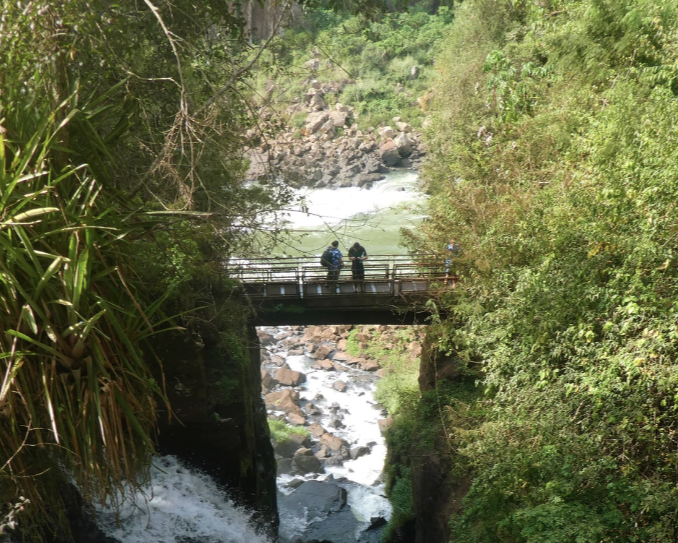 couple standing on bridge in iguazu national park