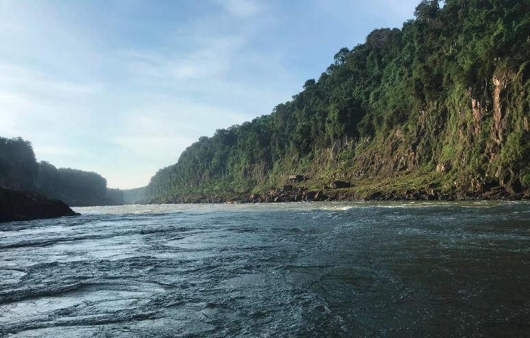 water river with trees in background