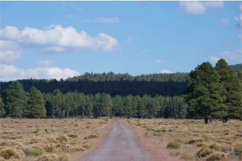 The Best Things to Do in Williams, Arizona