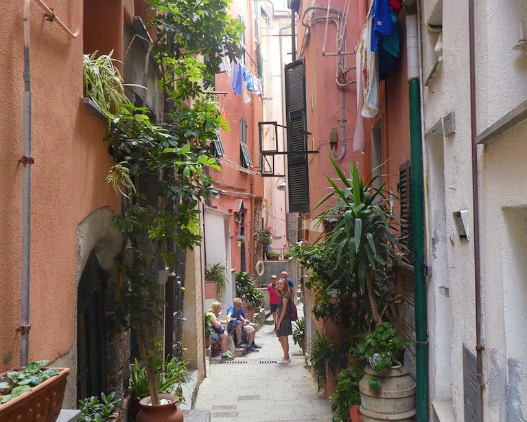 salmon colored alleyway full of green lush vines
