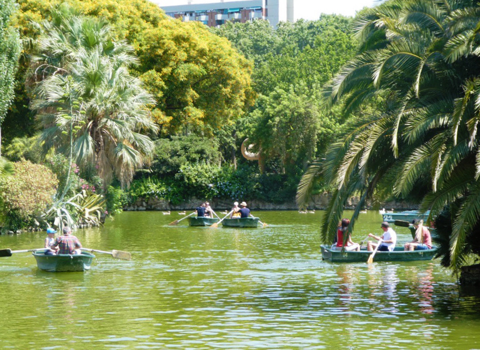 couples paddling together on the green water of ciutadella park