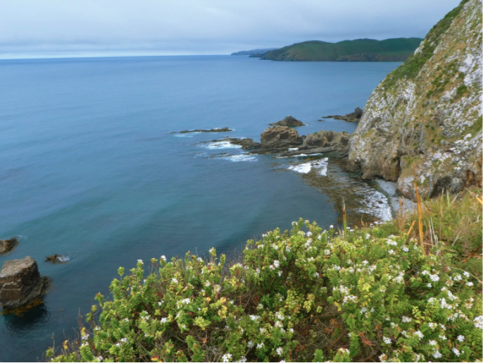 green mountain next to blue ocean