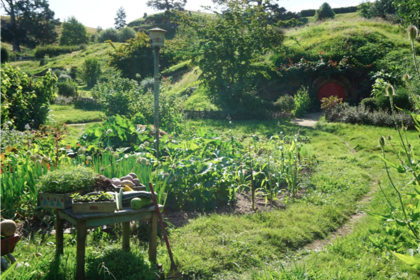 hobbiton table in the field