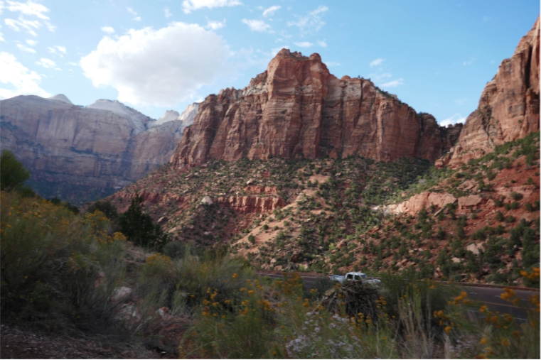 green valley in zion national park with red rock