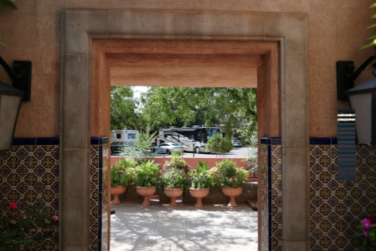 potted plants in a row as seen through an open air door