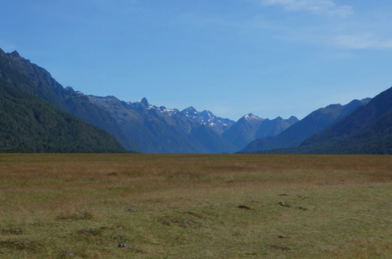 golden grass field with mountain range