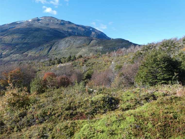 landscape surrounding los glaciares national park argentina, mountains and green scenery