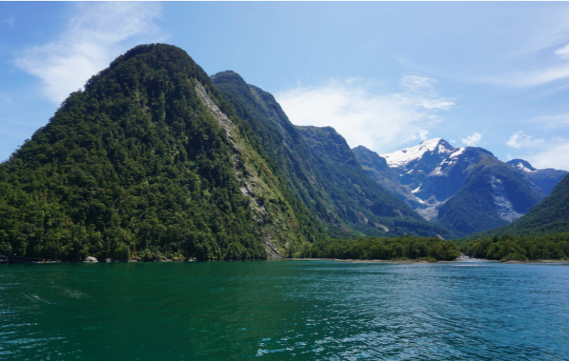 green steep fiords in milford sound on a sunny day