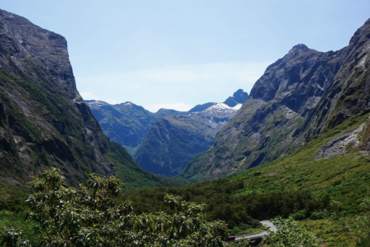 mountains and green trees of hollyford valley