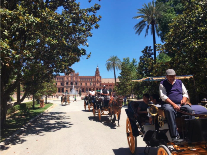 horse drawn carriage tours through seville spain