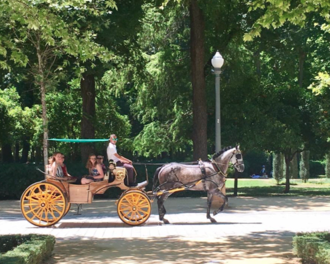 how to see seville in one day? take a horse drawn carriage ride tour