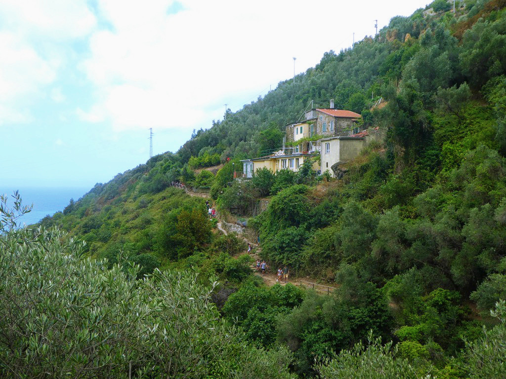 cliffside ranch in cinque terre surrounded by green vegetation
