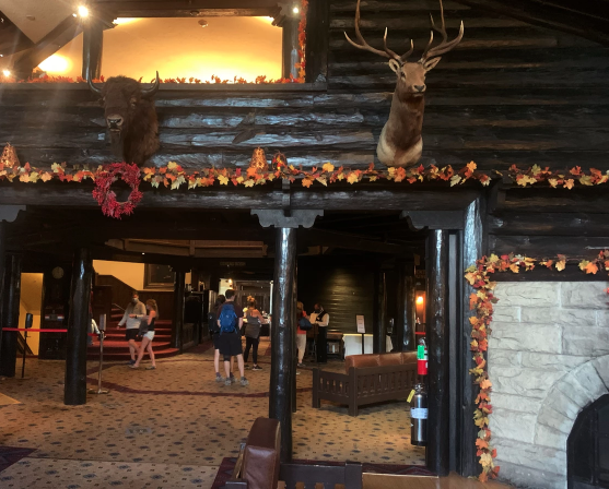 deer head and wooden wall panels in the foyer of el tovar restaurant