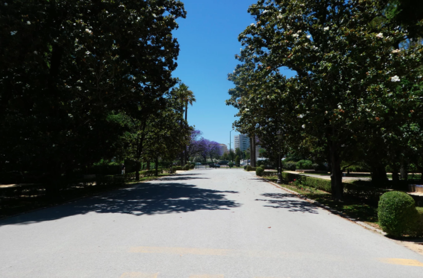one day itinerary for seville spain; road through el parque, how to see seville in one day