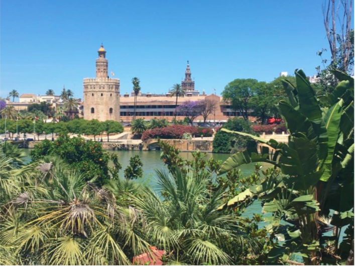 one day in seville, the best way to see seville in just one day with the torre del oro