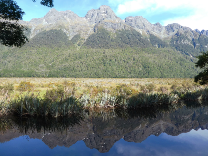 mirror lakes by milford sound new zealand