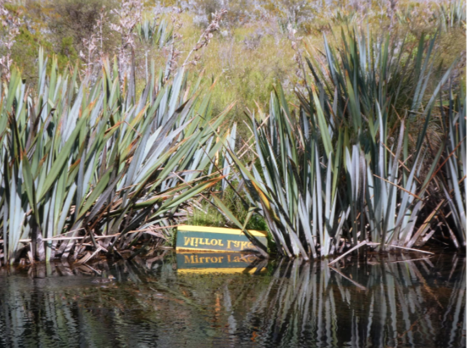 sign for mirror lakes in water with reeds