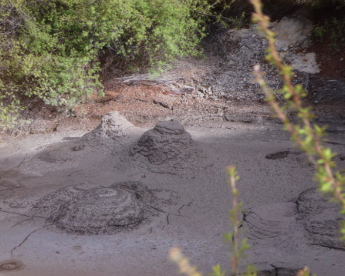 mud pools in whakarewarewa