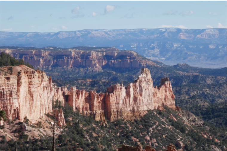 stunning red rock with green trees bryce