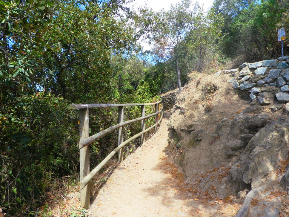 flat dirt path with a wooden railing at cinque terre