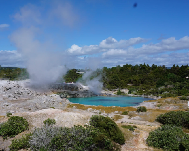 pohutu geyser erupting