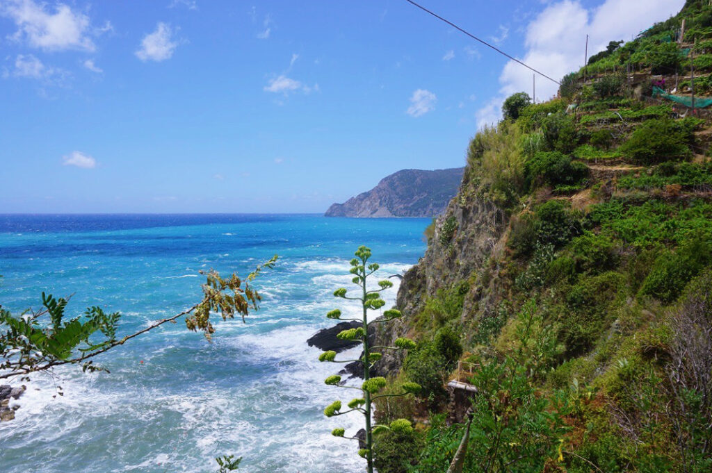 bright blue of the ocean next to cinque terre italy