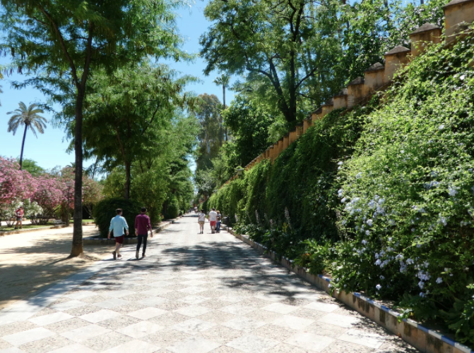 seville is my favorite city in spain and here's why, lush greenery on the pathway