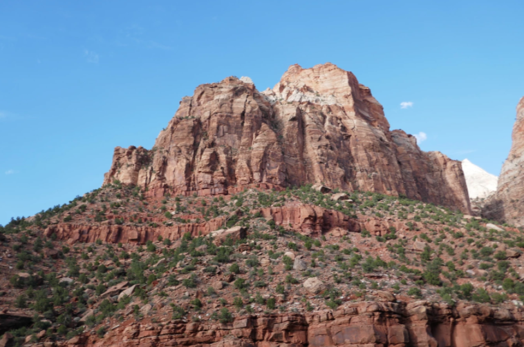 red rock mountain with green plants
