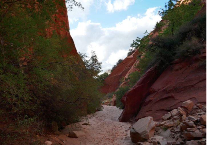 sandy path at red hollow slot canyon