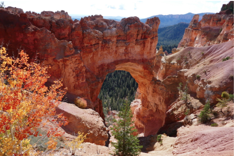the arched rock in bryce canyon