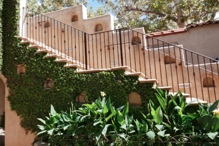 stairs and green plants on sunny day