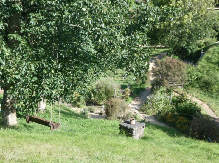 tree swing in hobbiton