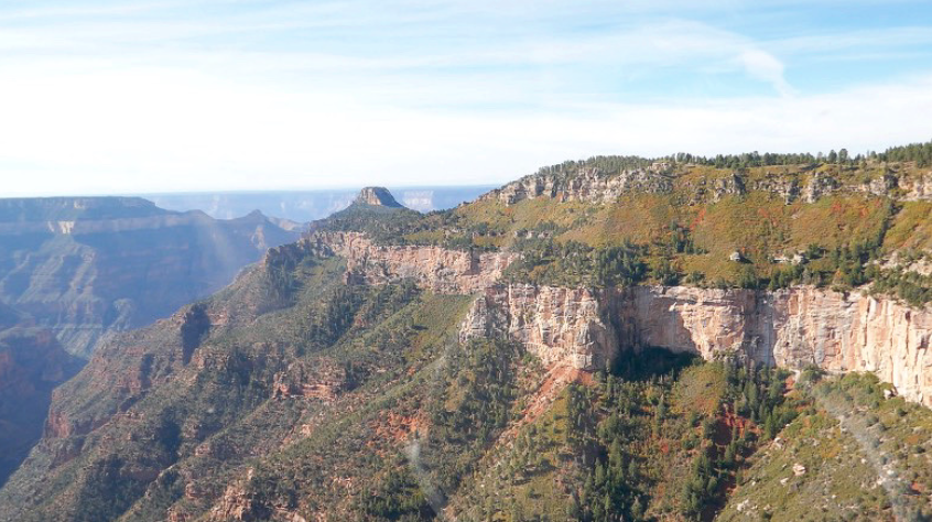 tree covered rock mountain in the grand canyon as seen out the window of a helcopter