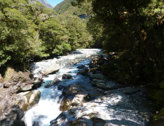 white water rapids of a river running over rock