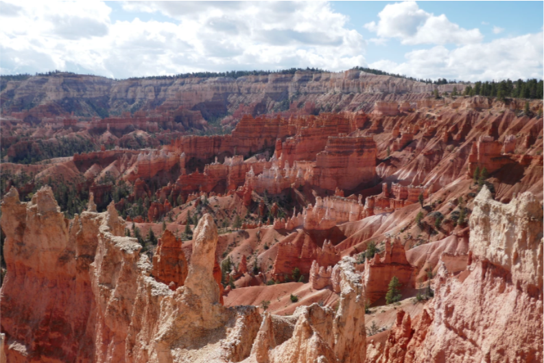 maze like structure of red rocks of bryce canyon