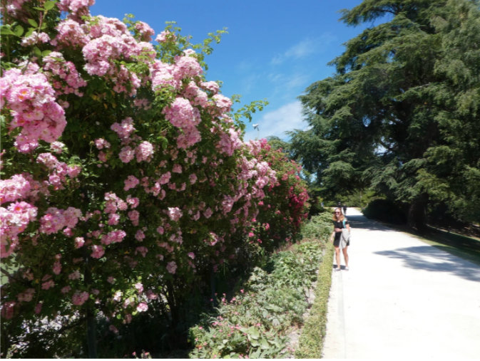 girl standing next to wall of flowers