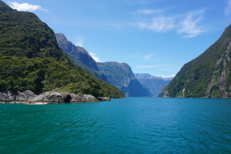 blue tasman sea of the milford sounds in new zealand with green trees covering the fiords