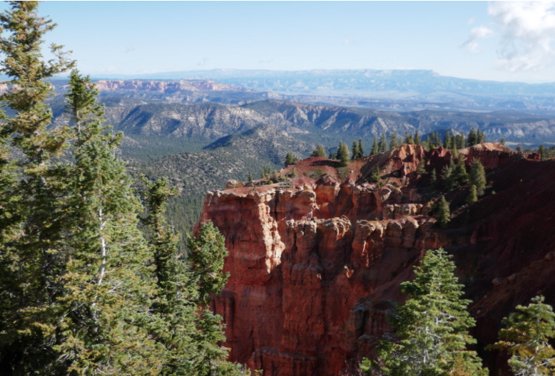 red rocks of bryce canyon framed between green pine trees
