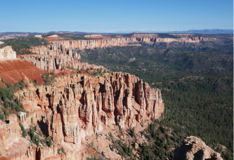 wall of white and red rocks lining green forest
