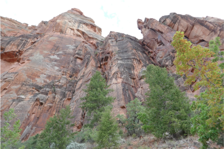 red rock towering wall over trees
