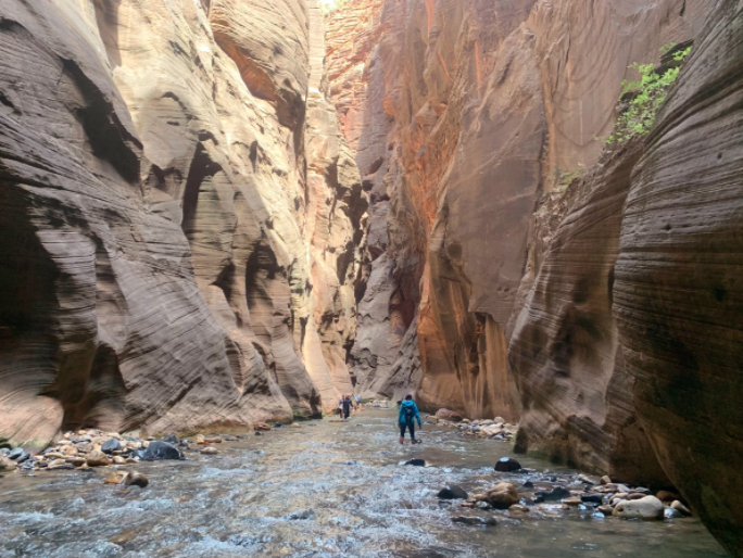 person in the water of zion between large red rocks