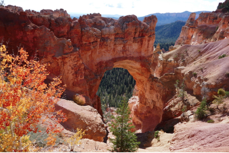 natural bridge rock formation in the fall in bryce canyon