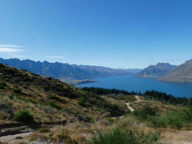 overlooking the queenstown hill with dark green plants and blue water