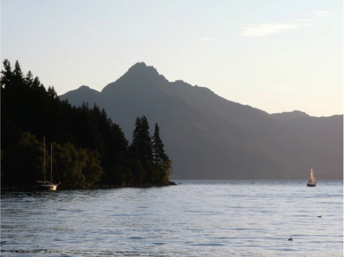 tree line by lake