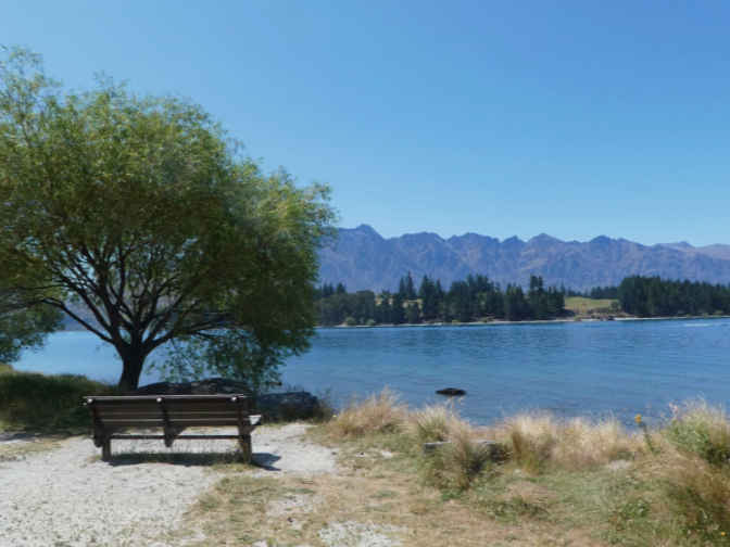 open bench in front of lake with tree