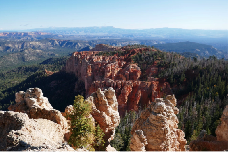 red hoodoo rock formations of bryce canyon with blue background
