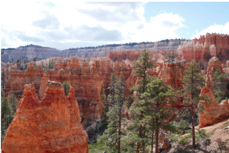green trees within red rock canyon of bryce utah