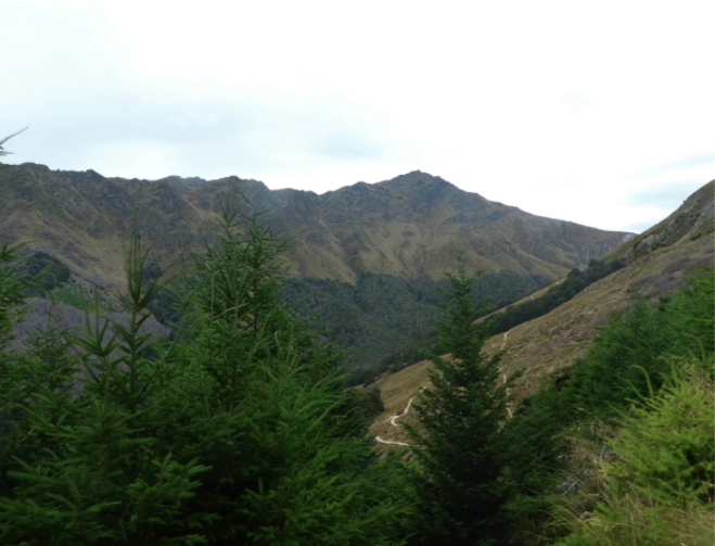 view of green mountains