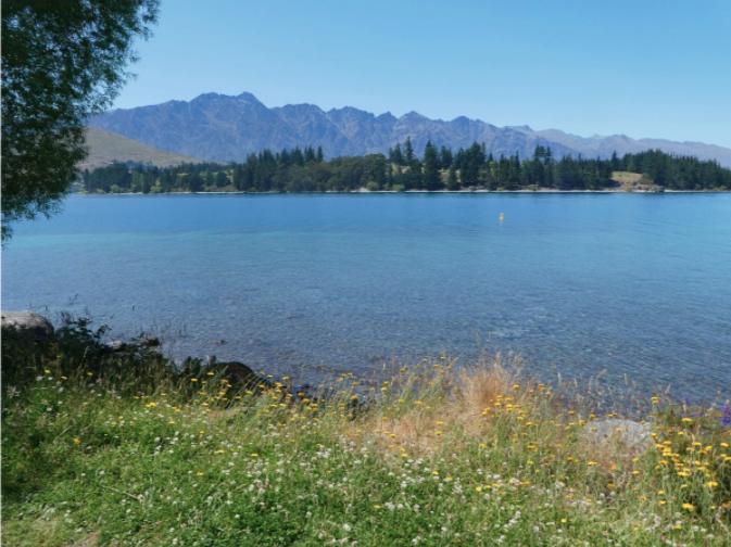 green wild grass by blue water