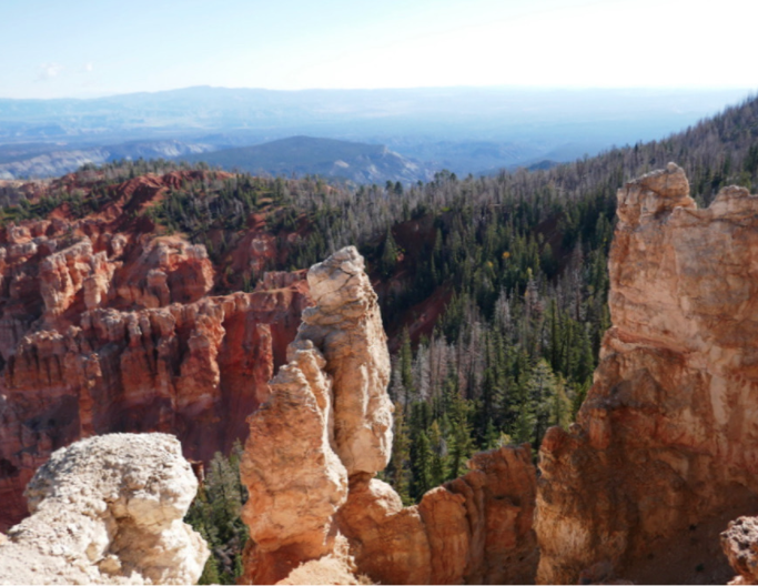 beautiful rock formation in bryce canyon with trees and valley in the back